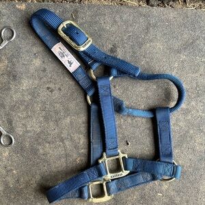 Yearling halter